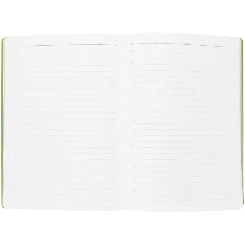 Ежедневник Flexpen, недатированный, серебристо-зеленый Ежедневник Flexpen, недатированный, серебристо-зеленый