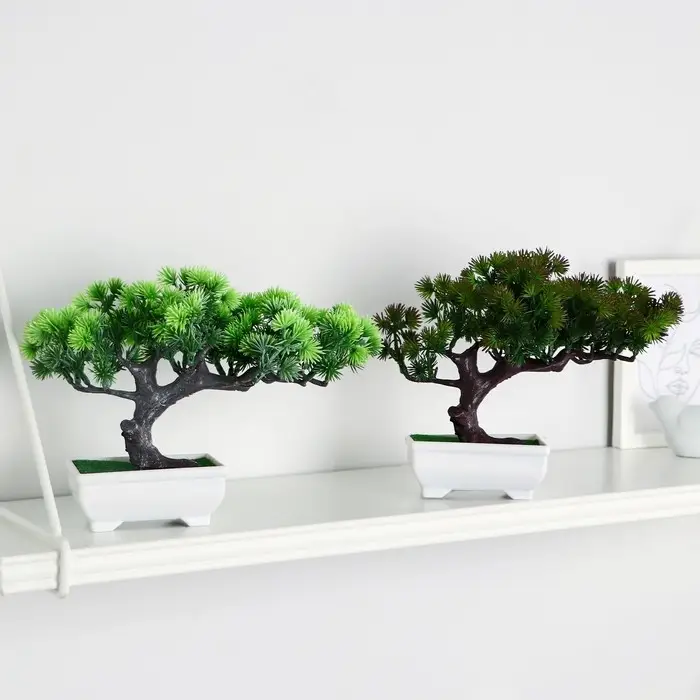 Бонсай в горшке &laquo;Хвойное дерево&raquo;, 10.5&times;18 см, МИКС