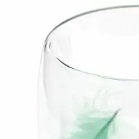 Кружка с двойными стенками Доляна &laquo;Перья&raquo;, 350 мл, 5.5&times;11&times;13 см, боросиликатное стекло, прозрачная