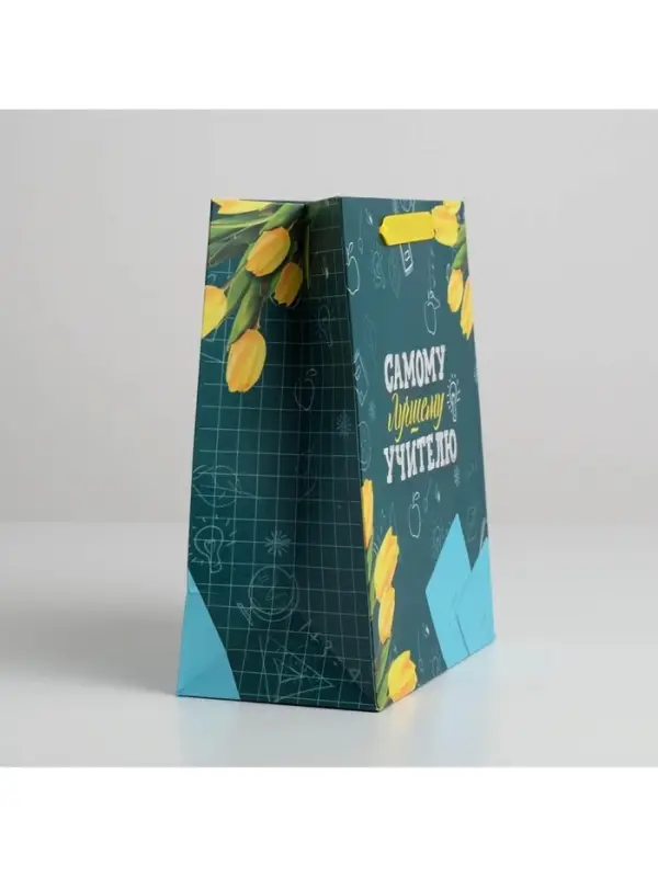 Пакет подарочный ламинированный, упаковка, «Самому Лучшему Учителю», ML 27 х 23 х 11.5 см