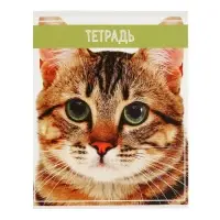 Тетради 5 штук 36 листов в клетку &laquo;Кошки&raquo;, обложка мелованная бумага, блок №2, белизна 75%, (4 разные, 1 повторяющаяся)