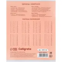 Тетради 10 штук, 18 листов в клетку Calligrata KIDS, серые листы, блок №2, 5 видов