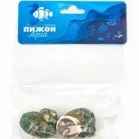 Набор ракушек декоративных, длина 4-5 см ширина 2 см, 2 шт.