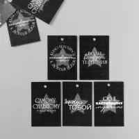 Набор бирок для подарков, цветов «Настоящему мужчине», 10 шт. (5 видов), 4×6 см, картон, МИКС