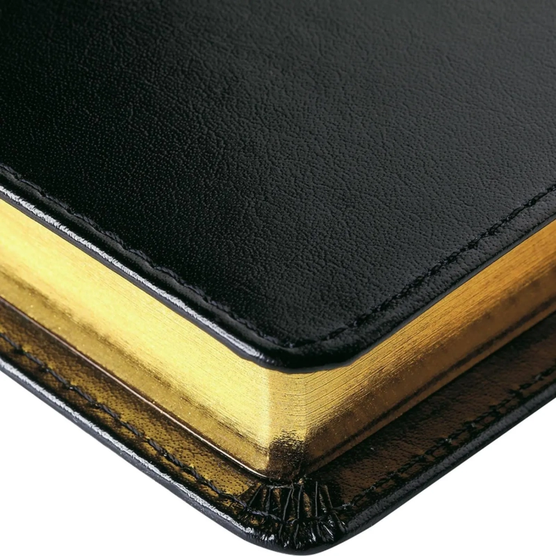 Ежедневник полудатированный черный,кожа,A5,1,208 л.,Br.V.PROFY 3-073/02