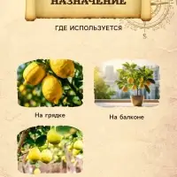 Грунт для Цитрусовых PETER PEAT, линия &laquo;Хобби&raquo;, 2.5 л