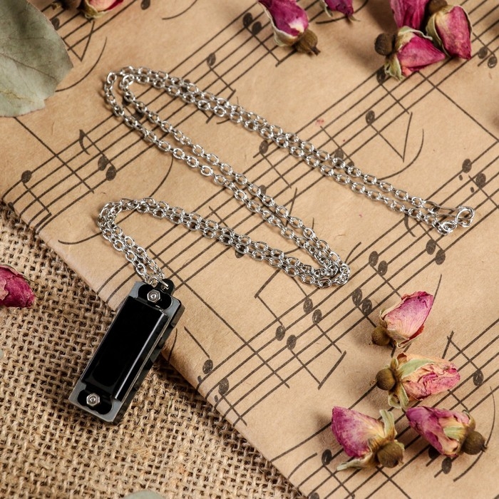 Губная гармошка Music Life 4 отверстия, 8 тонов, 3,5х1,5х1см, цепь 28см, черная Губная гармошка Music Life 4 отверстия, 8 тонов, 3,5х1,5х1см, цепь 28см, черная