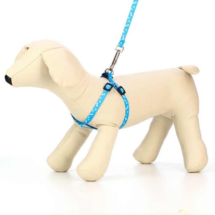 Комплект Комплект "Классика", капрон, поводок 120 х 1 см, ОГ 21-35 см, голубой