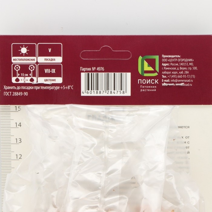 Гладиолус крупноцветковый «Пинк Ивент», луковица цветов в пакете с перфорацией, р-р 12/14, 5 шт.