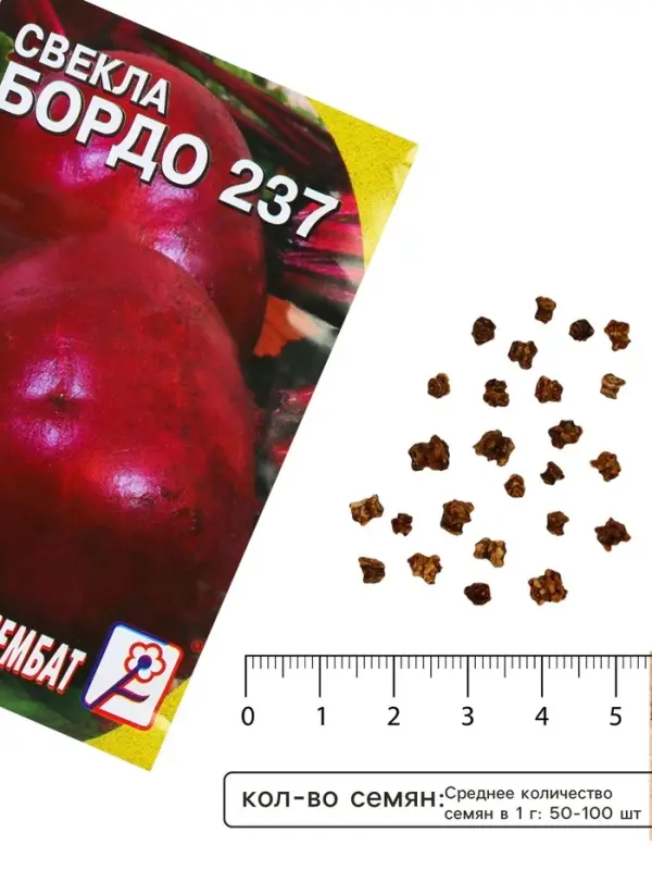 Семена Свекла &laquo;Бордо 237&raquo;, 1 г