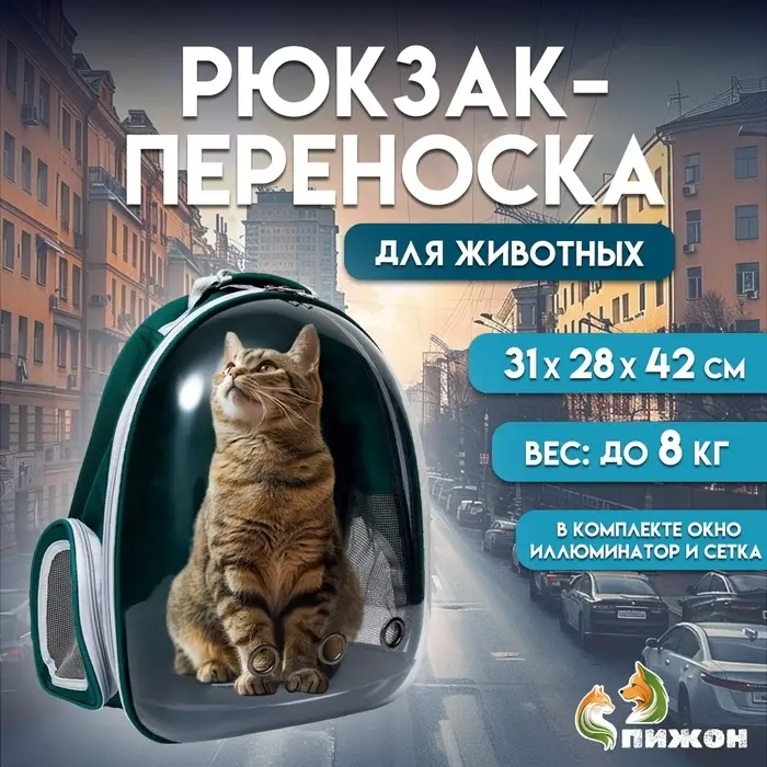 Рюкзак для переноски животных, 31&times;28&times;42 см, прозрачный, сине-зелёный