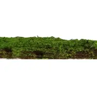 Декоративная панель, 90&times;40 см, &laquo;Мох&raquo;, Greengo