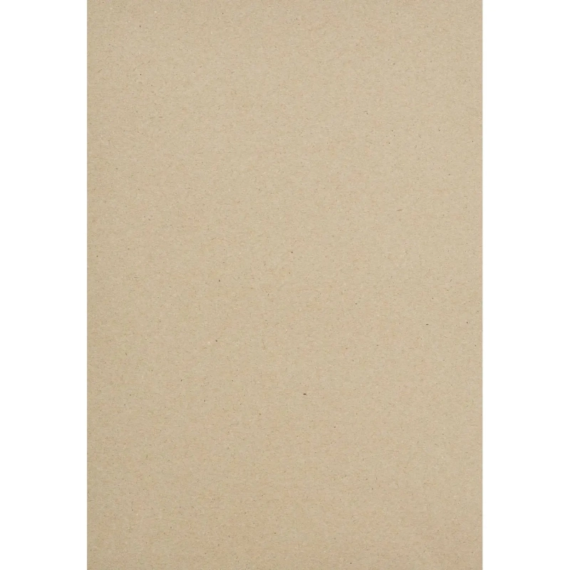 Картон белый Выбор есть Отличник 20л А4 немелован.пакет