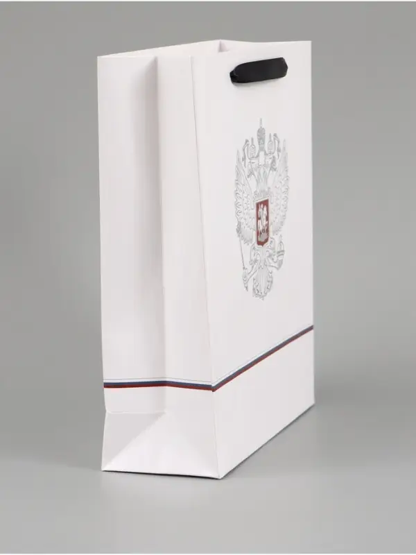 Пакет подарочный &laquo;Россия&raquo;, 25.5&times;30&times;9 см