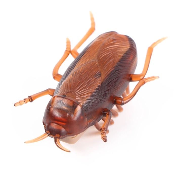 Интерактивная игрушка для кошек «Таракан» Интерактивная игрушка для кошек «Таракан»