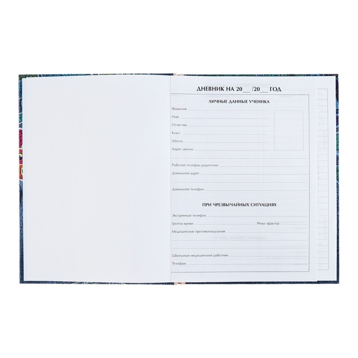 Дневник универсальный для 1-11 классов, "Котята в кармане", твердая обложка 7БЦ, глянцевая ламинация, 40 листов