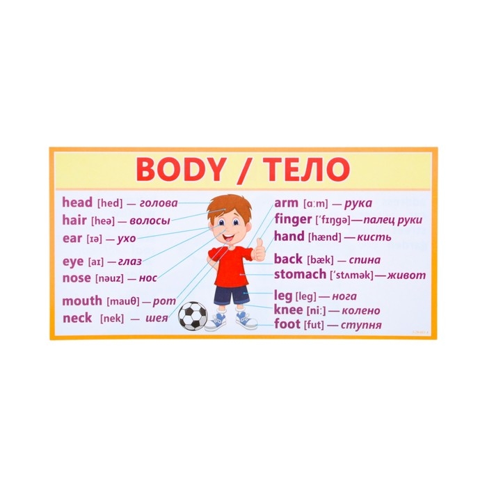 Набор карточек-закладок "Для начальной школы" 3-4 класс, 10 карточек, 20x10 см