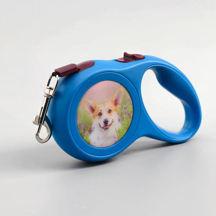 Рулетка с принтом Рулетка с принтом "Милашка", 5 м, вес животного до 15 кг, синяя