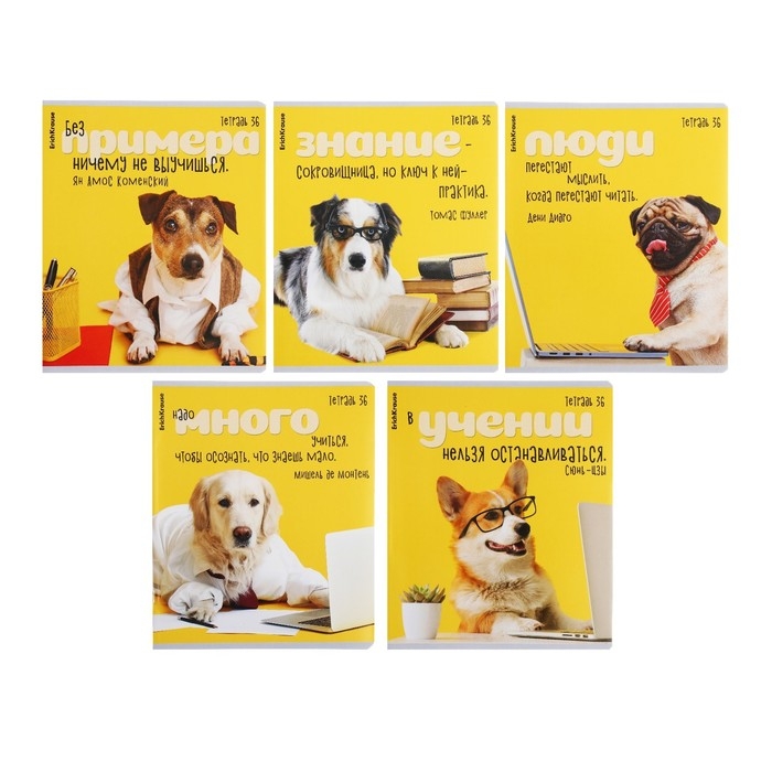 Тетрадь 36 листов в клетку, ErichKrause "Ученые собаки", обложка мелованный картон, блок офсет 100% белизна, МИКС