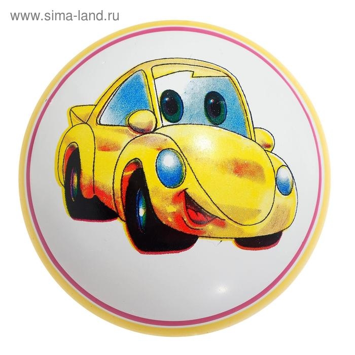 Мяч резиновый, диаметр 100 мм, (рисунок), цвета МИКС Мяч резиновый, диаметр 100 мм, (рисунок), цвета МИКС