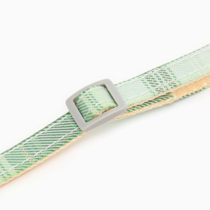 Ошейник Ошейник "Мягкость", полиэстер, с бубенчиком, 34 х 1 см, зелёный