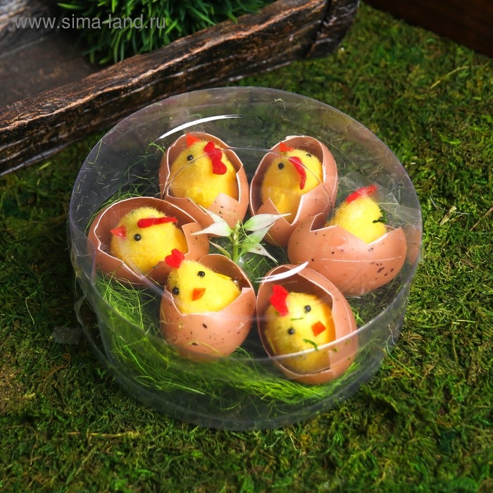 Сувенир пасхальный Сувенир пасхальный "Цыплята в яйце на травке" набор 6 шт 4,5х14х14 см