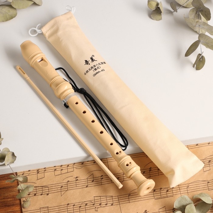 Блокфлейта Music Life, 8 отверстий, белый чехол, шомпол, 30 см Блокфлейта Music Life, 8 отверстий, белый чехол, шомпол, 30 см