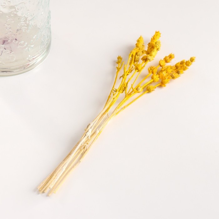 Набор сухоцветов Набор сухоцветов "Железница", банч длина 35 (+/- 6 см), желтый