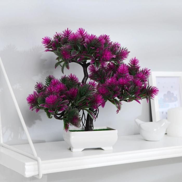 Бонсай в горшке Бонсай в горшке "Мелкие пушистики" 26х24 см, микс