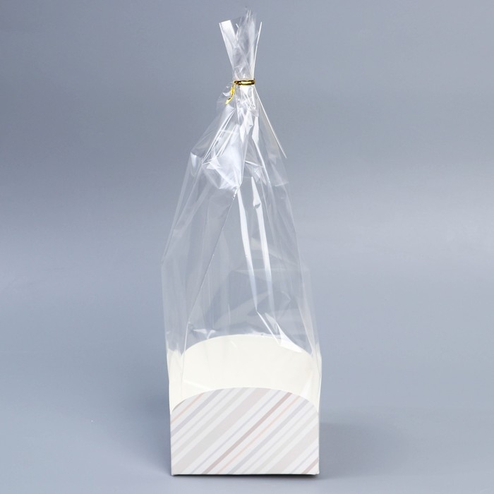 Пакет подарочный с коробкой, упаковка, «С наилучшими пожеланиями», 12 х 12 х 40 см Пакет подарочный с коробкой, упаковка, «С наилучшими пожеланиями», 12 х 12 х 40 см