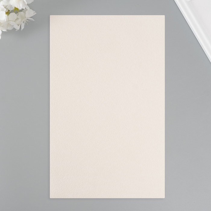 Лист для творчества иск.кожа Лист для творчества иск.кожа "Личи. Перламутр" белый лист 33х20 см толщина 0,9 мм