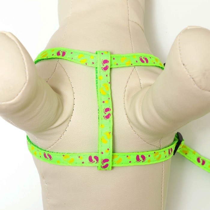 Комплект  Комплект "Цветные следы", поводок 120 х 1 см, ОГ 23-35 см, зелёный