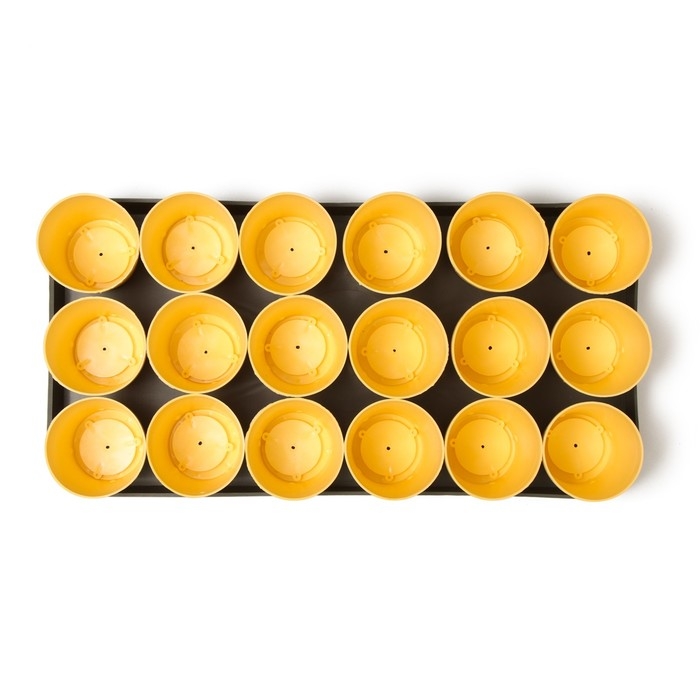 Набор для рассады: стаканы по 250 мл (18 шт.), поддон 40 × 20 см, цвет МИКС, Greengo Набор для рассады: стаканы по 250 мл (18 шт.), поддон 40 × 20 см, цвет МИКС, Greengo