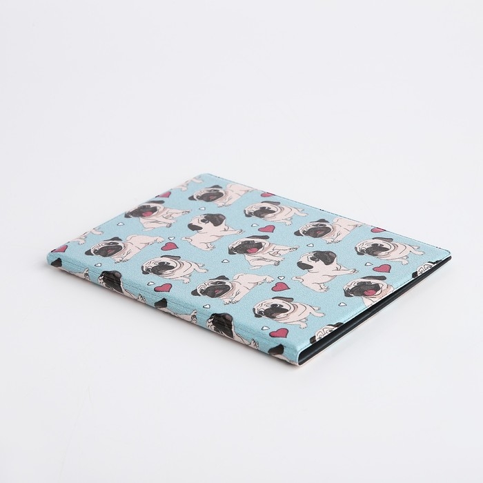 Обложка для паспорта, цвет голубой Обложка для паспорта, цвет голубой