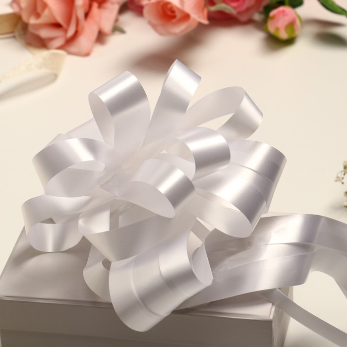 Бант-шар №7 Бант-шар №7