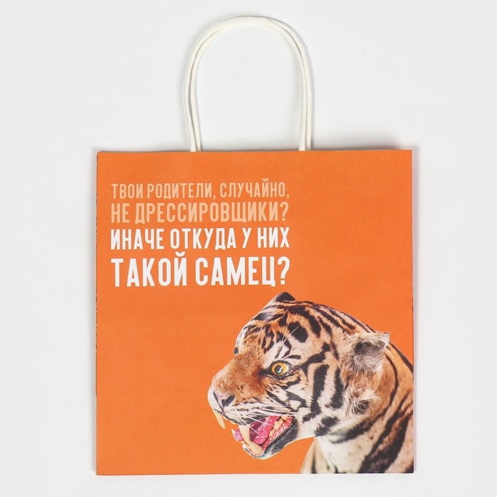 Пакет подарочный, упаковка, «Самец», 22 х 22 х 11 см