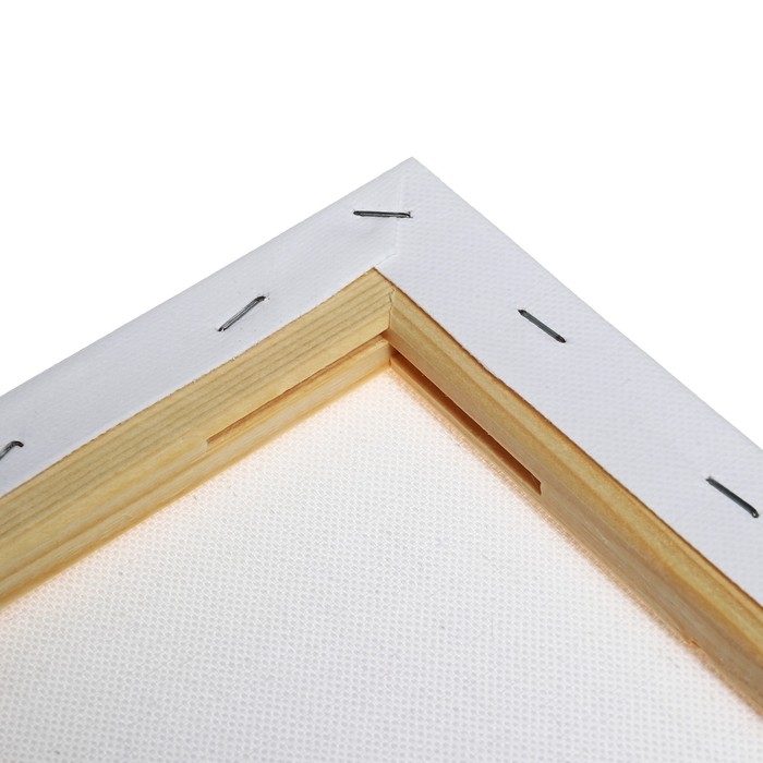 Холст на подрамнике 1,6х30х40 см, Calligrata, хлопок 100%, акриловый грунт, среднезернистый, 380г/м² Холст на подрамнике 1,6х30х40 см, Calligrata, хлопок 100%, акриловый грунт, среднезернистый, 380г/м²