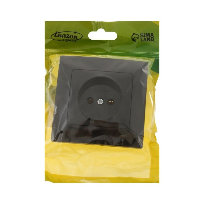 Розетка одноместная Luazon Lighting  Розетка одноместная Luazon Lighting "Антей", 10 А, скрытая, без з/к, черная