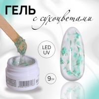 Гель для наращивания, с сухоцветами, 3-х фазный, 9 гр, LED/UV, цвет прозрачный/бирюзовый