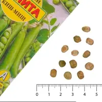 Семена Горох овощной &laquo;Киш-миш&raquo;, 25 г, &laquo;Аэлита&raquo;