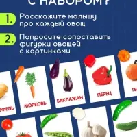 Обучающий набор по методике Г. Домана &laquo;Овощи&raquo;: 9 карточек + 9 овощей, счётный материал