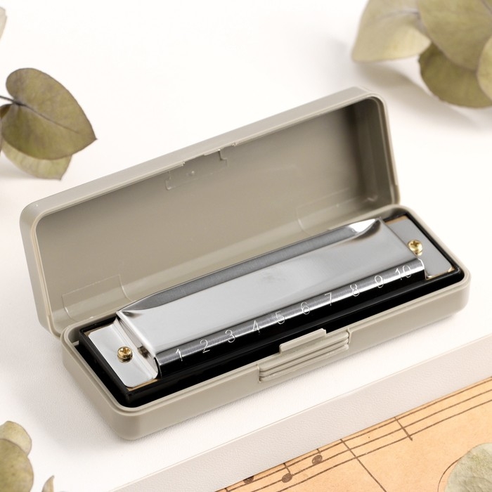 Губная гармошка Music Life T10-4 диатоническая, 10 отверстий, с футляром Губная гармошка Music Life T10-4 диатоническая, 10 отверстий, с футляром