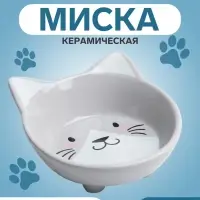 Миска &laquo;Голова кота&raquo;, 150 мл, 14&times;12.5&times;6.5 см, керамика, серая