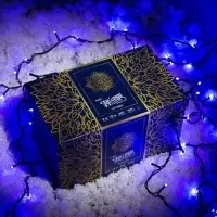 Гирлянда &laquo;Занавес&raquo; 2&times;1.5 м, IP44, УМС, тёмная нить, 360 LED, свечение синее, 220 В