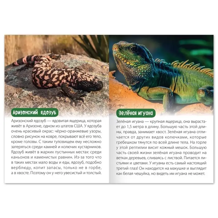 Обучающая книга «Животные Северной Америки», 20 стр. Обучающая книга «Животные Северной Америки», 20 стр.