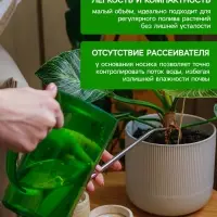 Лейка с длинным носиком, 1 л, без рассеивателя, зелёная, Greengo