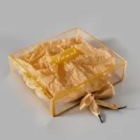 Коробка подарочная пластиковая с тишью и гирляндой Present, 20&times;18&times;5 см