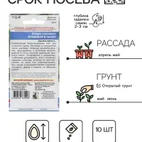 Семена Огурец "Бочковой в Засол - корнишон", 10 шт