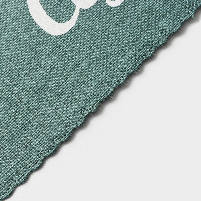 Салфетки сервировочные на стол Доляна Coffee, 4 шт, 44×29 см, цвет бирюзовый Салфетки сервировочные на стол Доляна Coffee, 4 шт, 44×29 см, цвет бирюзовый