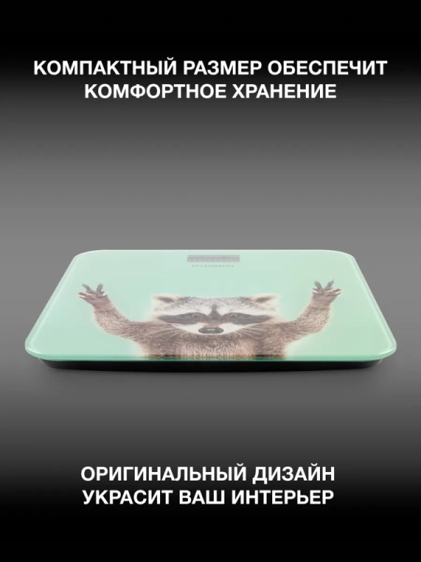 Весы напольные H-BS03589